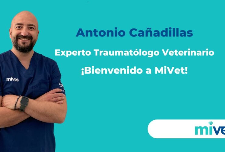 Bienvenido a MiVet Antonio Cañadillas, Experto Traumatólogo Veterinario