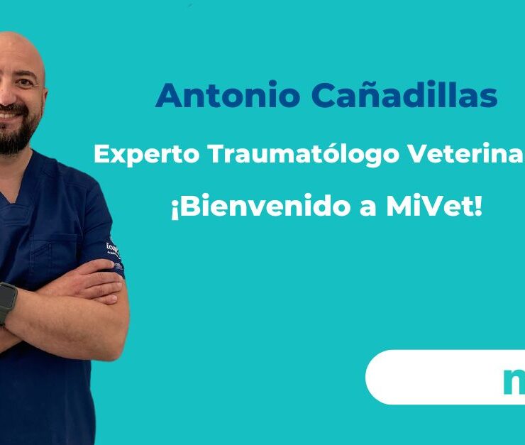 Bienvenido a MiVet Antonio Cañadillas, Experto Traumatólogo Veterinario