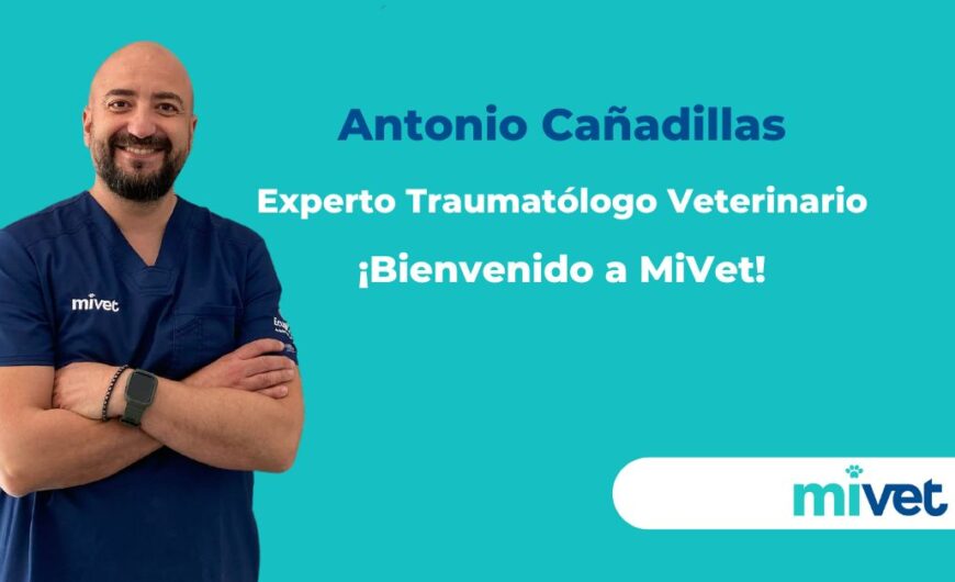 Bienvenido a MiVet Antonio Cañadillas, Experto Traumatólogo Veterinario