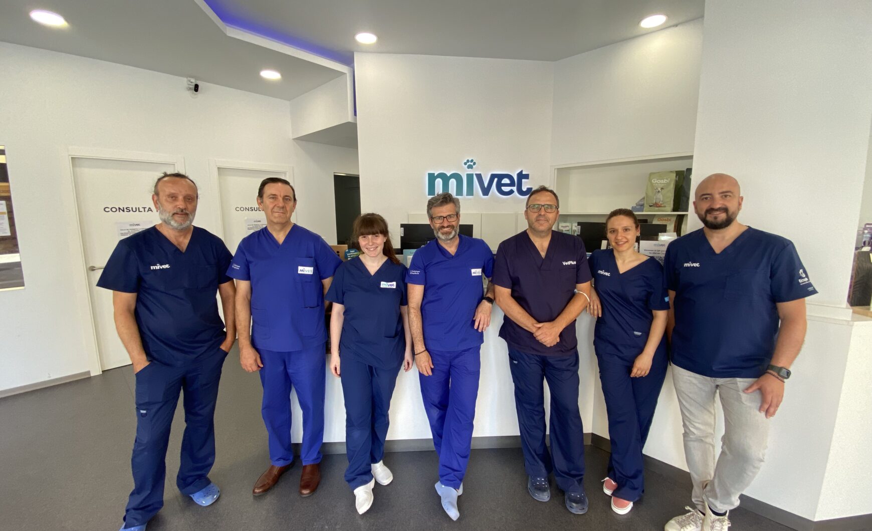 GMOT, Grupo de Trabajo MiVet de Ortopedia y Traumatología