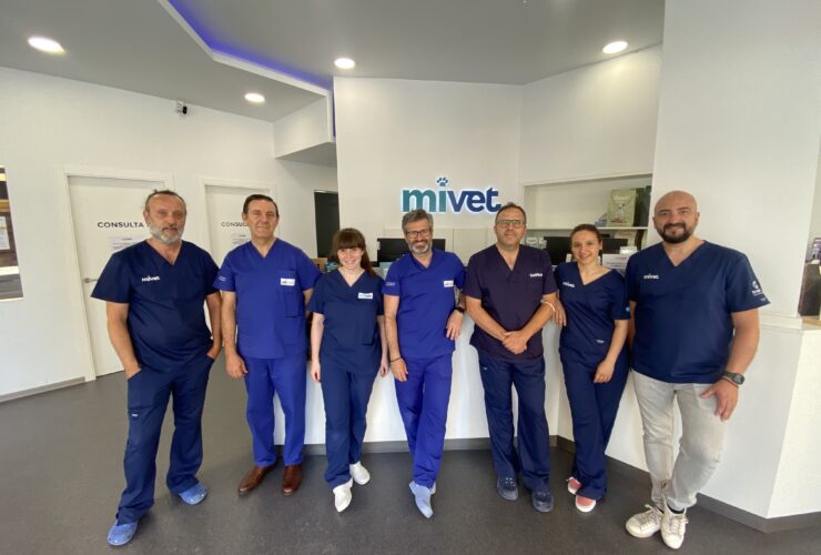 GMOT, Grupo de Trabajo MiVet de Ortopedia y Traumatología