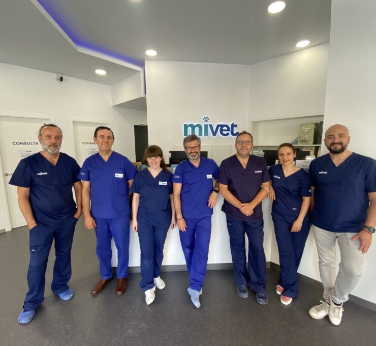GMOT, Grupo de Trabajo MiVet de Ortopedia y Traumatología