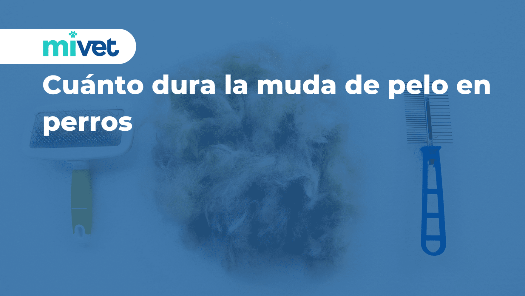 Cuánto dura la muda de pelo en perros