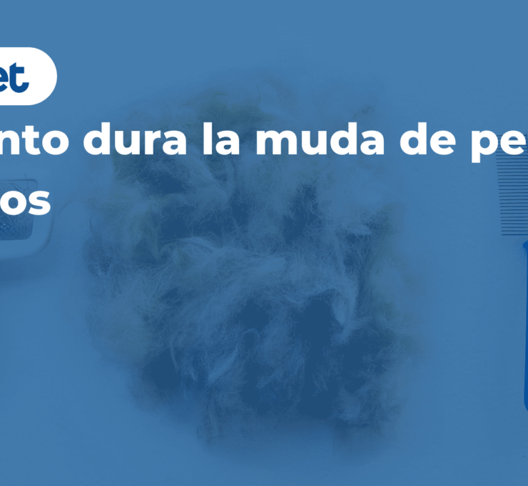 Cuánto dura la muda de pelo en perros