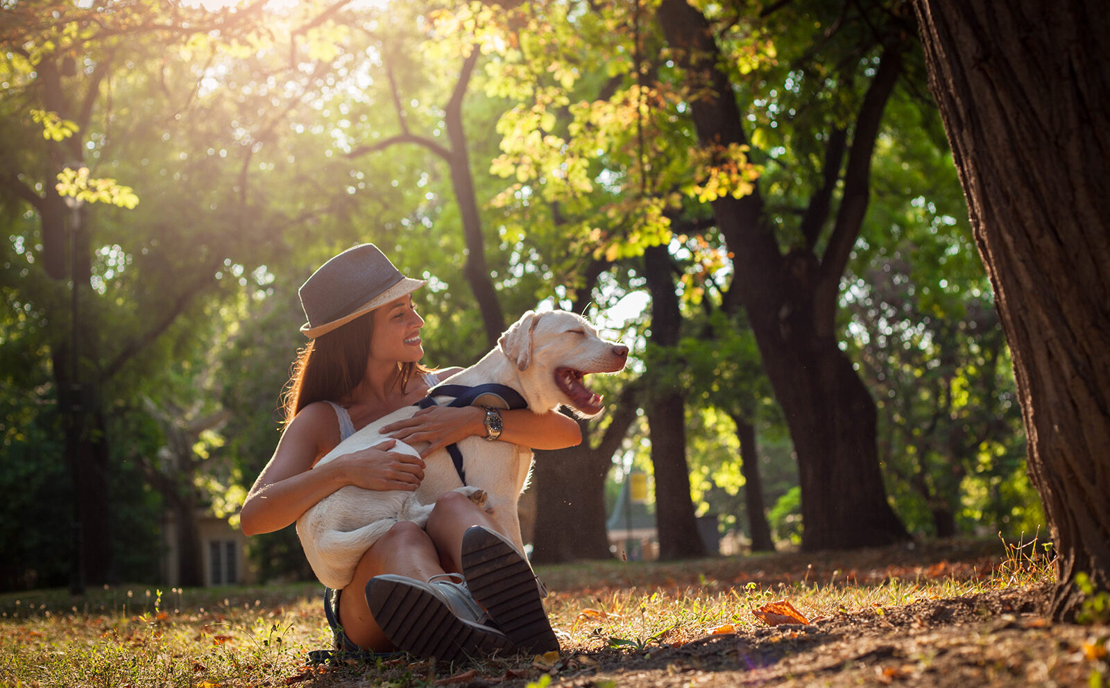 ¿Por qué es importante realizar una limpieza dental en perros?