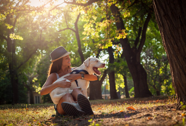 ¿Por qué es importante realizar una limpieza dental en perros?