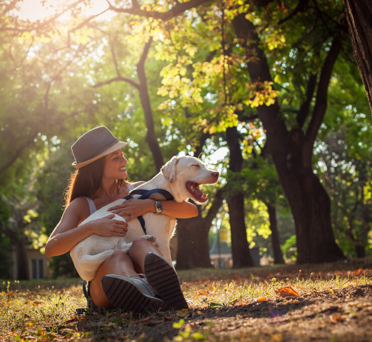¿Por qué es importante realizar una limpieza dental en perros?