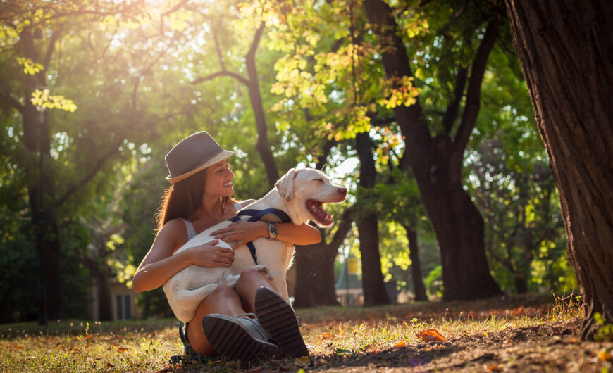 ¿Por qué es importante realizar una limpieza dental en perros?