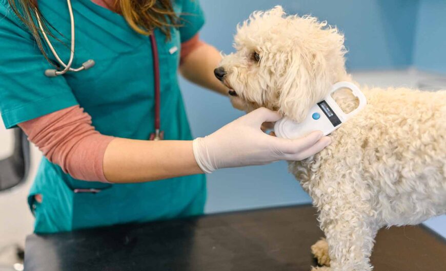 Real Decreto 666/2023: no se dispensarán medicamentos a animales de compañía sin microchip