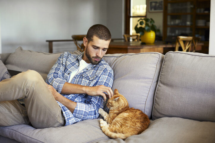 ¿Qué es la panleucopenia felina? Síntomas, prevención y tratamiento