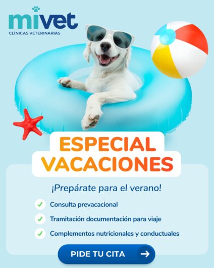 Campaña Especial Vacaciones