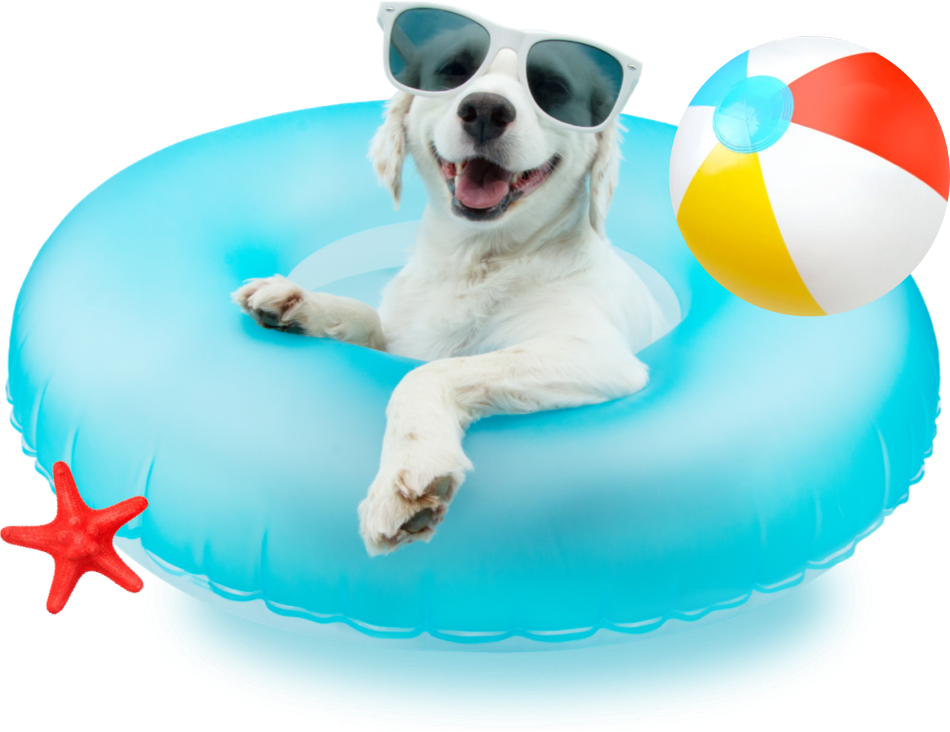 Campaña Especial Vacaciones