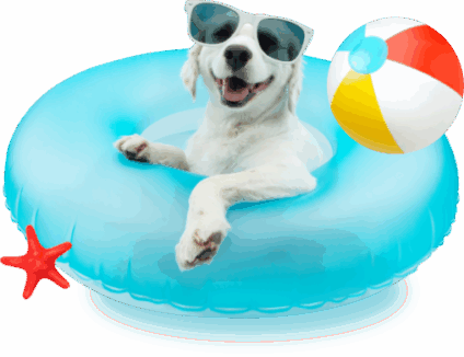 Campaña Especial Vacaciones