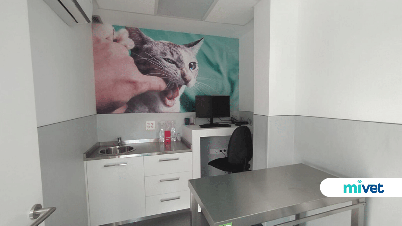 Hospital Veterinari Maresme