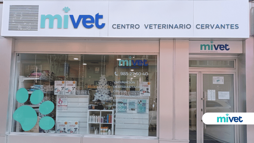 Clínica Veterinaria Cervantes