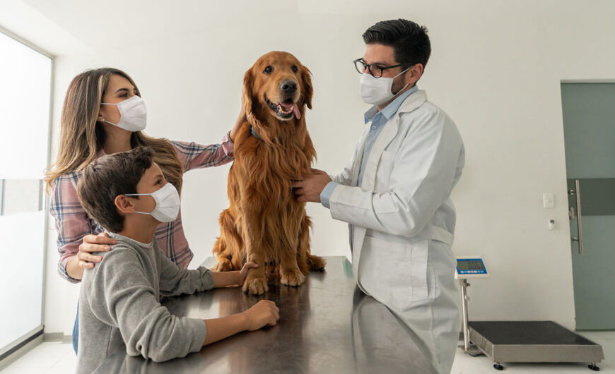 ¿Los perros pueden tener resfriados o gripe?