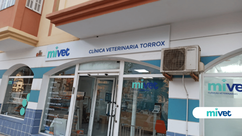 Clínica Veterinaria Torrox | MiVet