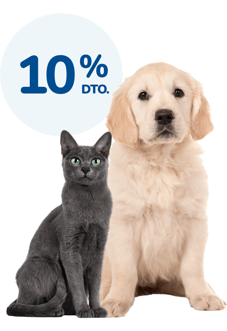 Esterilización. La mejor prevención