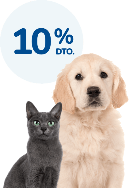 Esterilización. La mejor prevención Esterilización. La mejor prevención