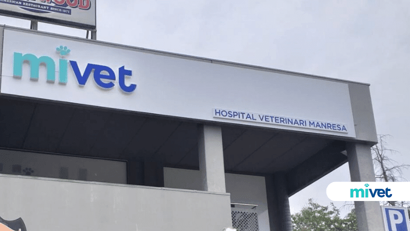 Hospital Veterinari Manresa | MiVet