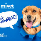 MiVet, nuevo patrocinador oficial del Club de Mascotas del Real Oviedo MiVet, nuevo patrocinador oficial del Club de Mascotas del Real Oviedo