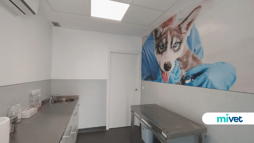 Hospital Veterinari Manresa | MiVet