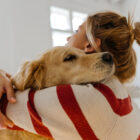 ¿Cómo se cura la orquitis testicular en perros y cuáles son sus causas? ¿Cómo se cura la orquitis testicular en perros y cuáles son sus causas?