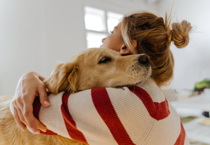 ¿Cómo se cura la orquitis testicular en perros y cuáles son sus causas?