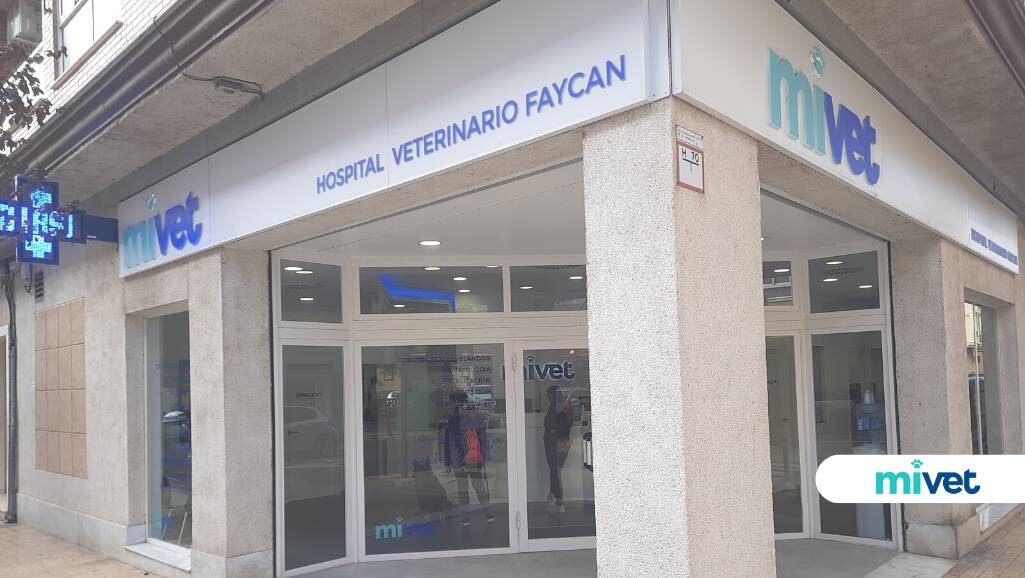 Hospital Veterinario Catarroja | MiVet