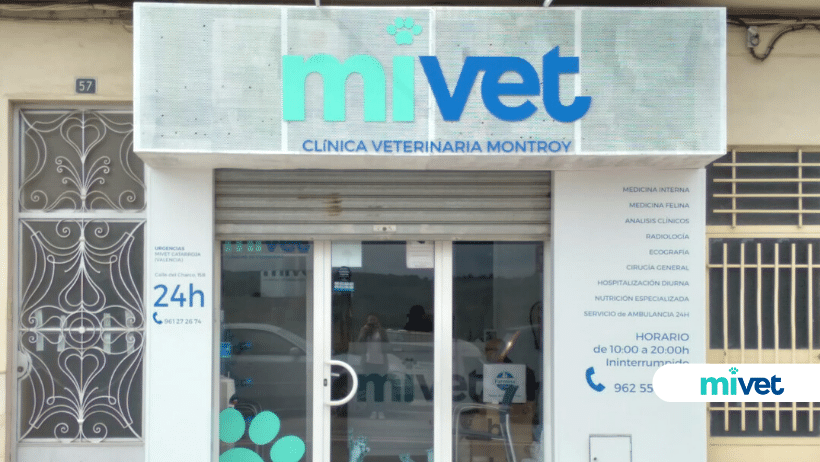 Clínica Veterinaria Montroy | MiVet