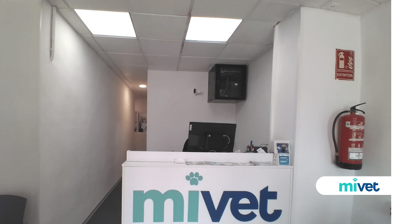 Clínica Veterinaria Montroy | MiVet