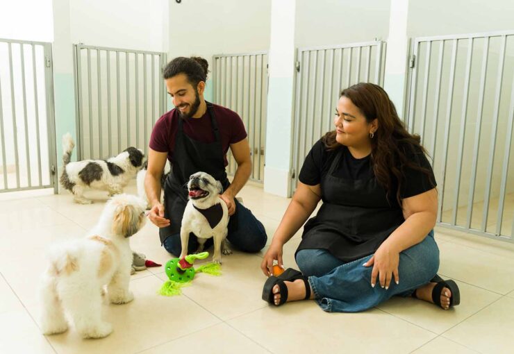 Guarderías caninas: ¿cómo funcionan y qué servicios ofrecen?