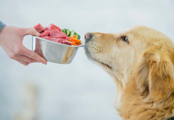La dieta ideal para tu mascota según su raza