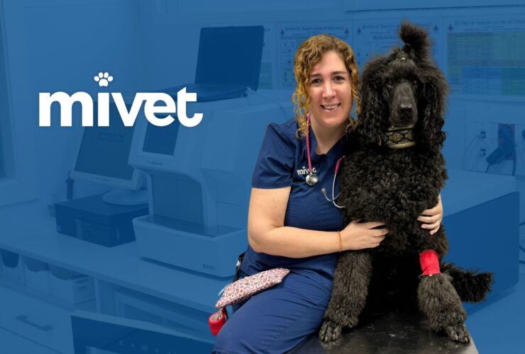 Hoy conocemos mejor a Noemi Moreno, del Hospital Veterinario Barcelona Sud