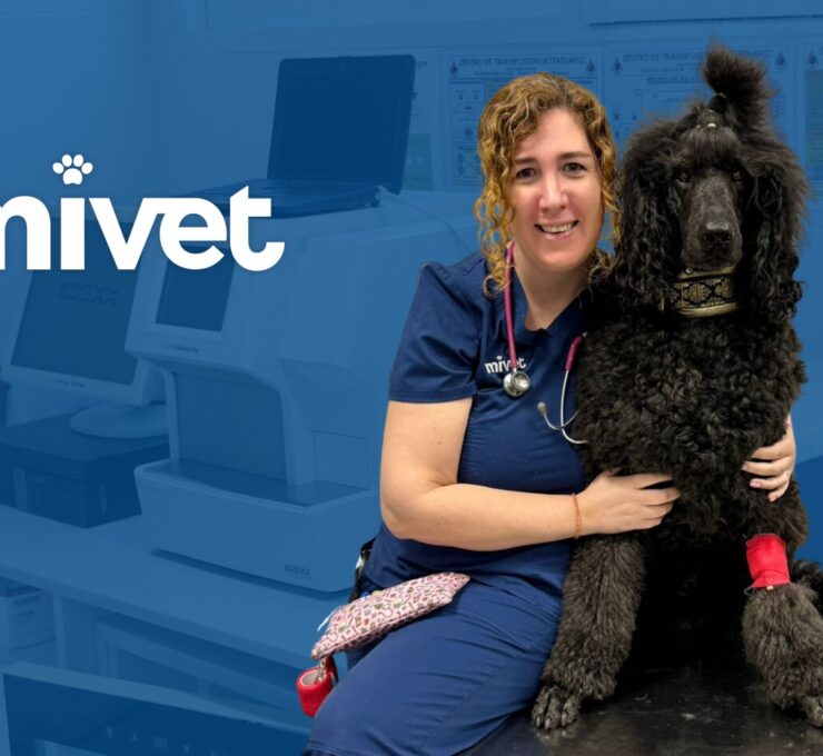 Hoy conocemos mejor a Noemi Moreno, del Hospital Veterinario Barcelona Sud