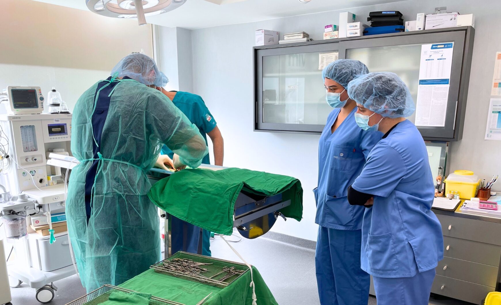 27 de abril: Día Mundial de la Veterinaria
