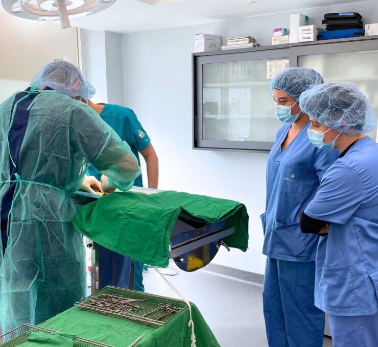 27 de abril: Día Mundial de la Veterinaria