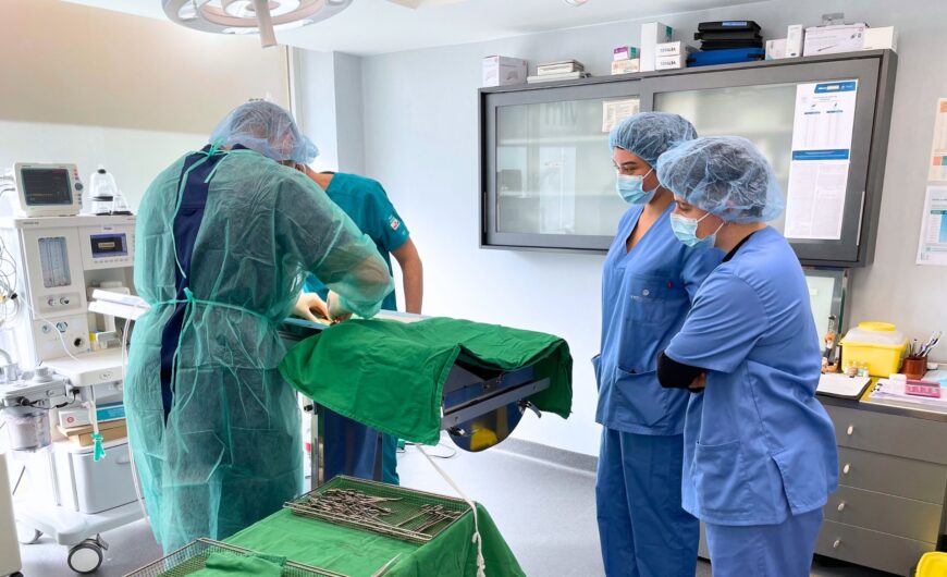 27 de abril: Día Mundial de la Veterinaria