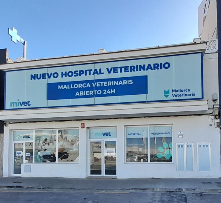 ¡Gran inauguración! Hospital Veterinario Mallorca Veterinaris