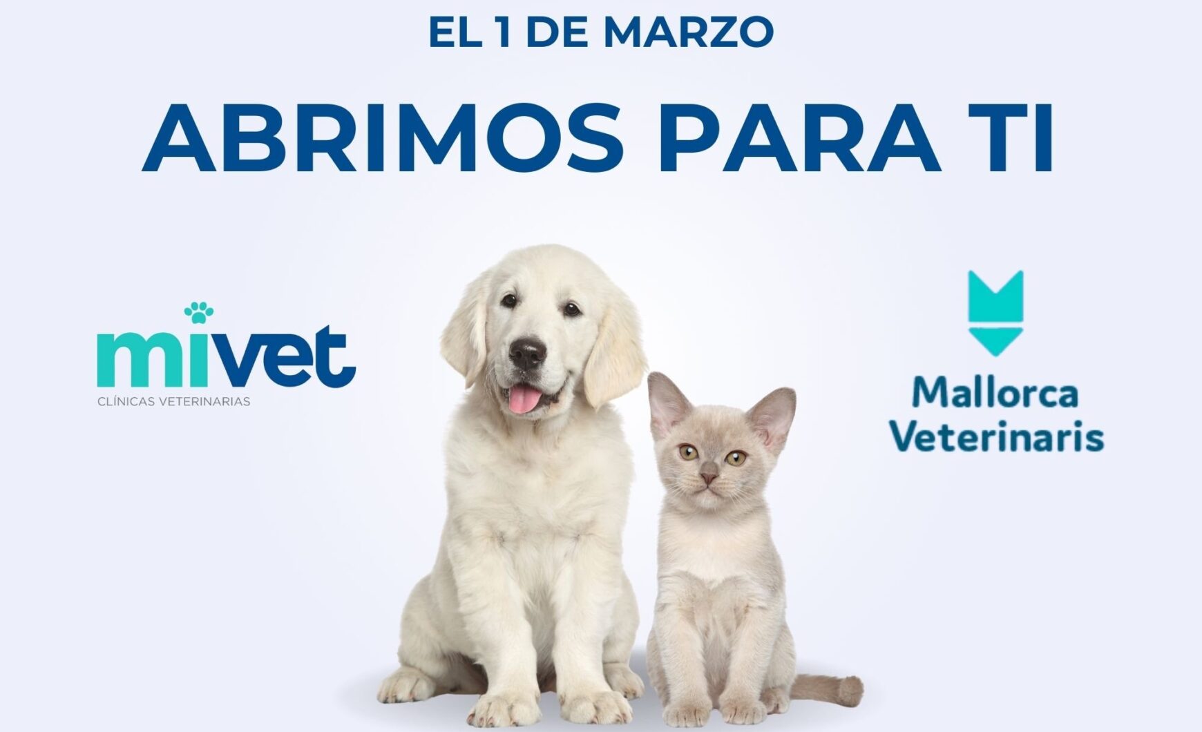 Descubre el nuevo Hospital Veterinario Mallorca Veterinaris