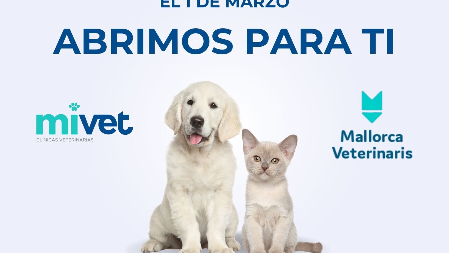 Descubre el nuevo Hospital Veterinario Mallorca Veterinaris | MiVet