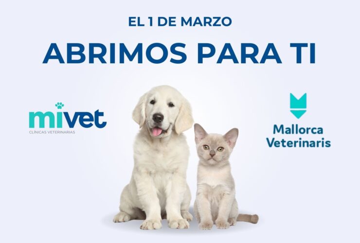 Descubre el nuevo Hospital Veterinario Mallorca Veterinaris | MiVet