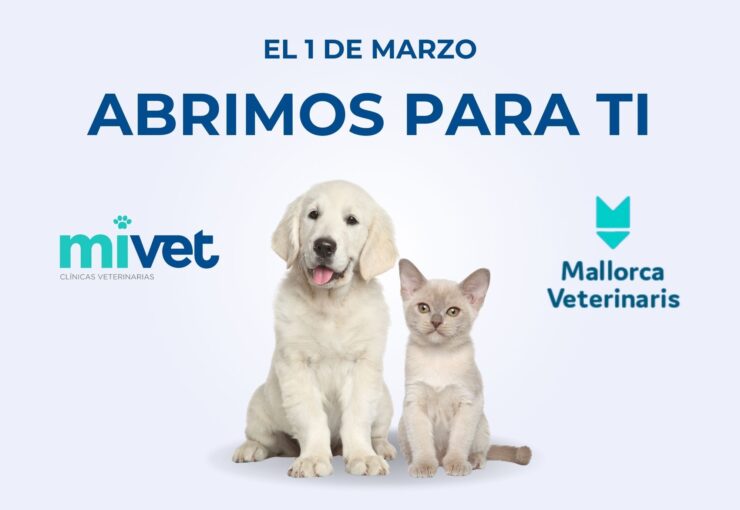 Descubre el nuevo Hospital Veterinario Mallorca Veterinaris | MiVet