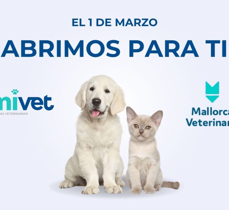 Descubre el nuevo Hospital Veterinario Mallorca Veterinaris