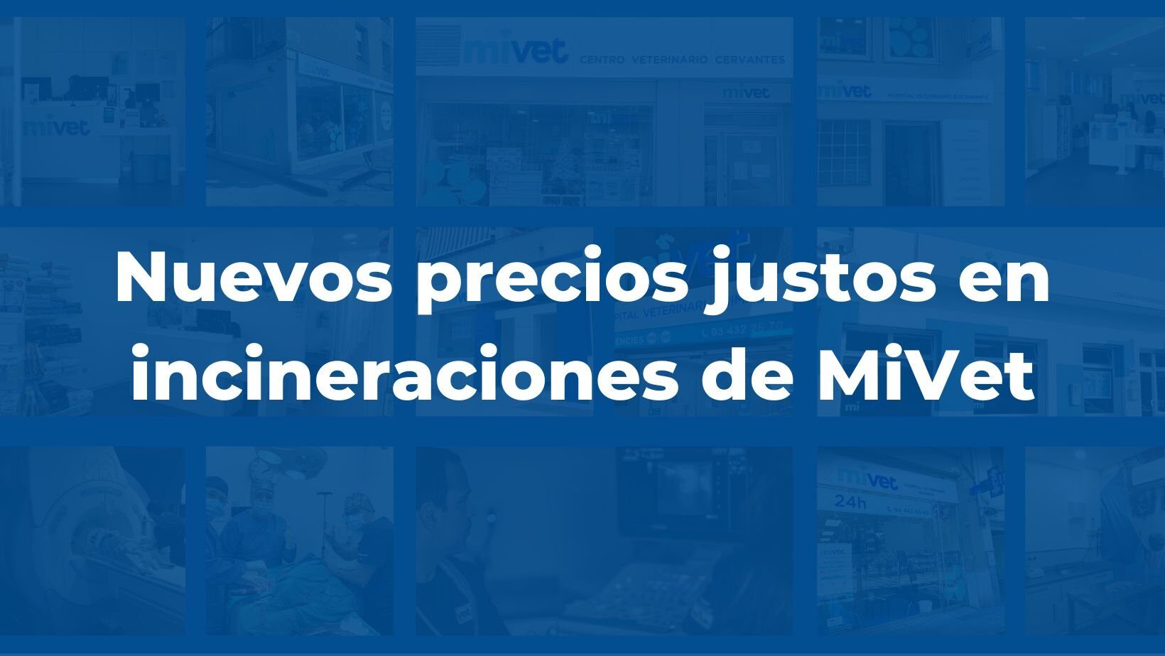 Nuevos precios justos en incineraciones de MiVet