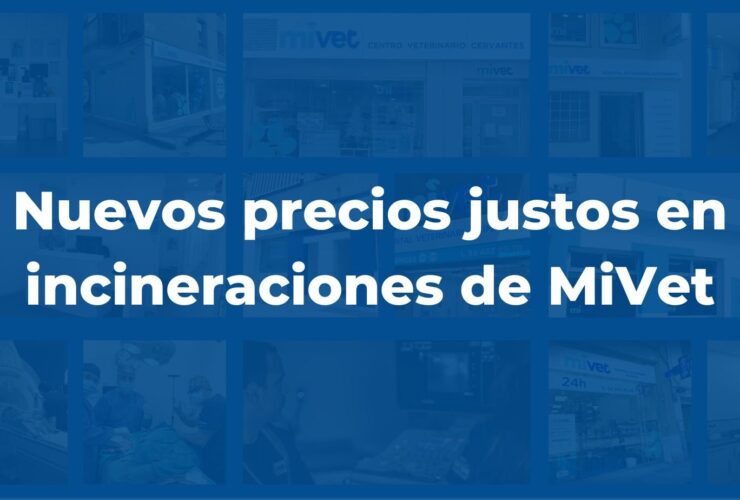 Nuevos precios justos en incineraciones de MiVet