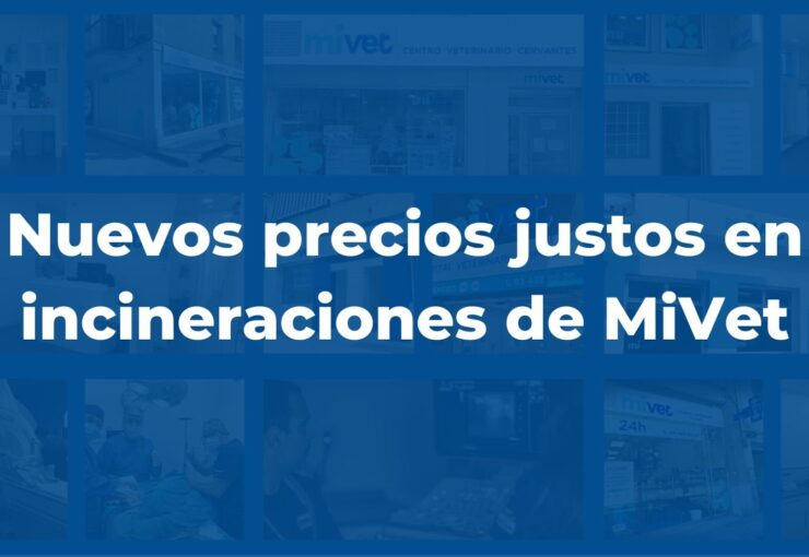 Nuevos precios justos en incineraciones de MiVet