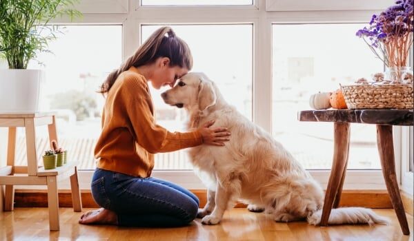 Beneficios de la terapia con animales: Mejorando la calidad de vida