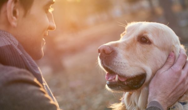 Actividades físicas para mascotas