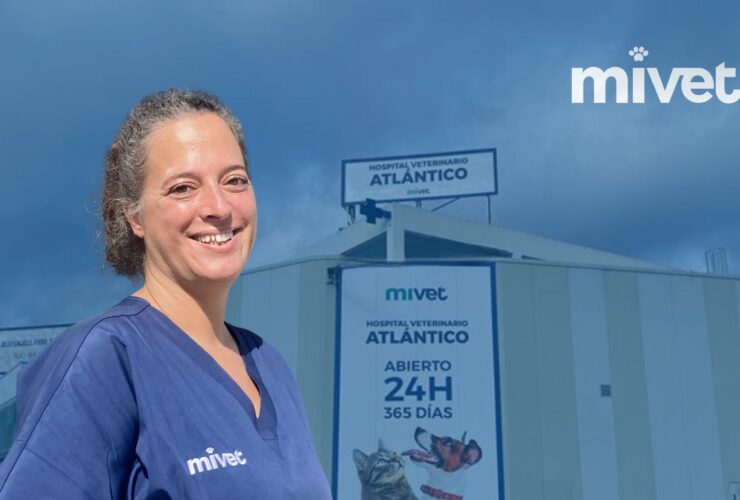 Bienvenida Verónica Vieitez: Nueva Directora Médica del Hospital Veterinario Atlántico